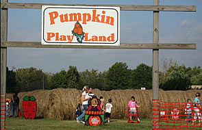 Pumpkin Play Land